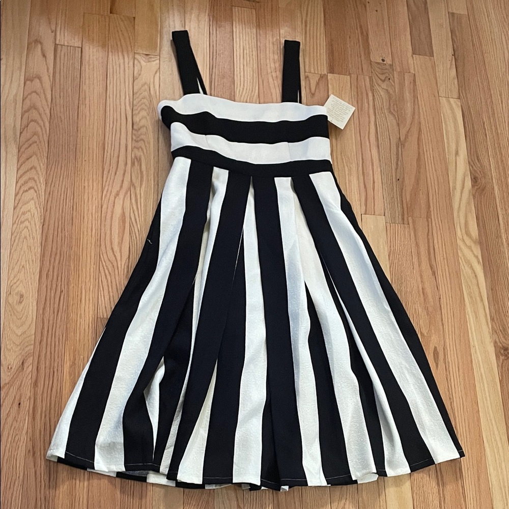 Boston Proper Black and White Striped women Dress